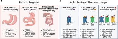 Obesity management for the treatment of type 2 diabetes: emerging evidence and therapeutic approaches